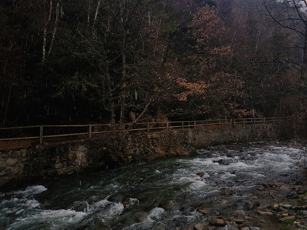 body of water during daytime