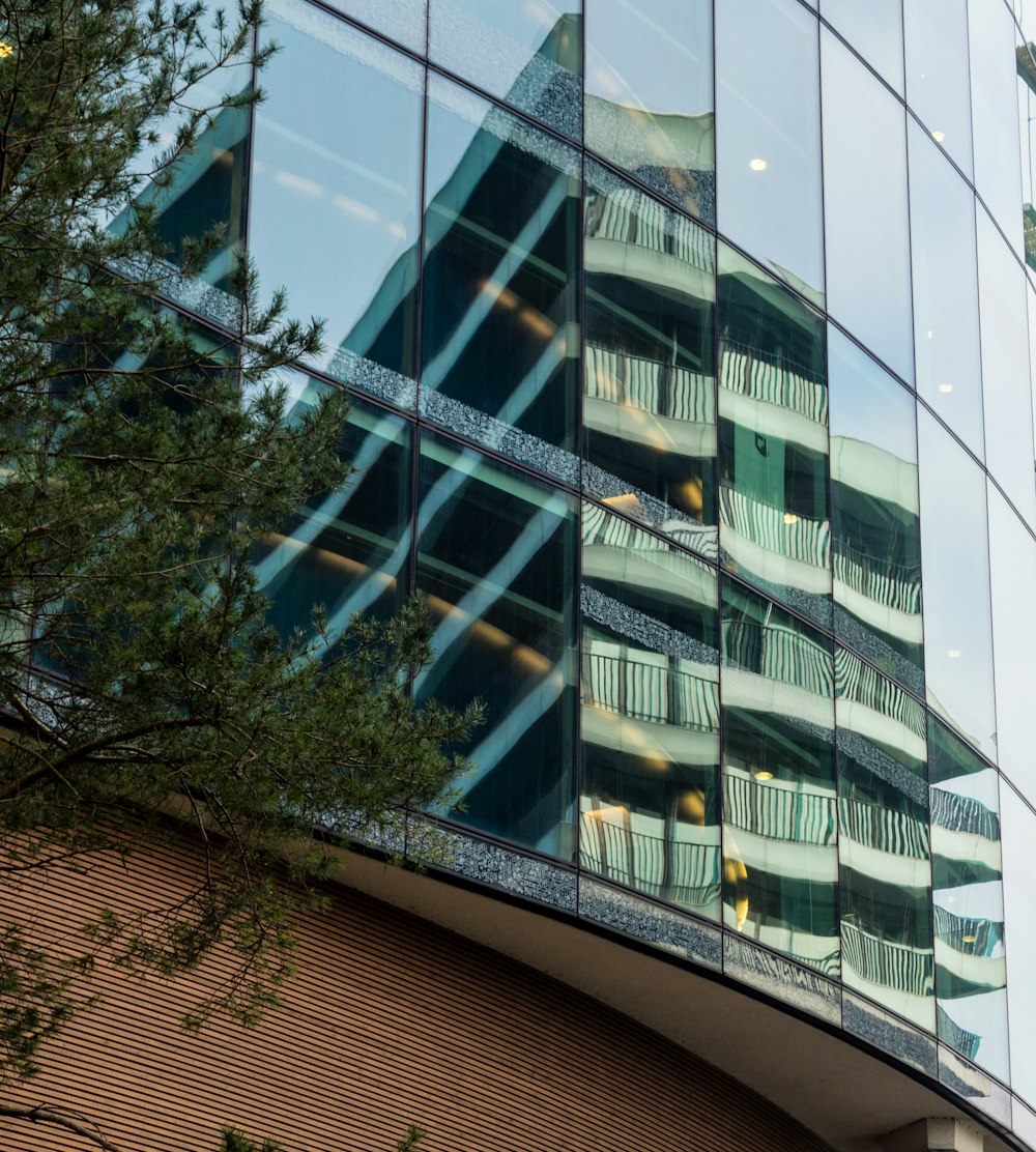 glass building during daytime