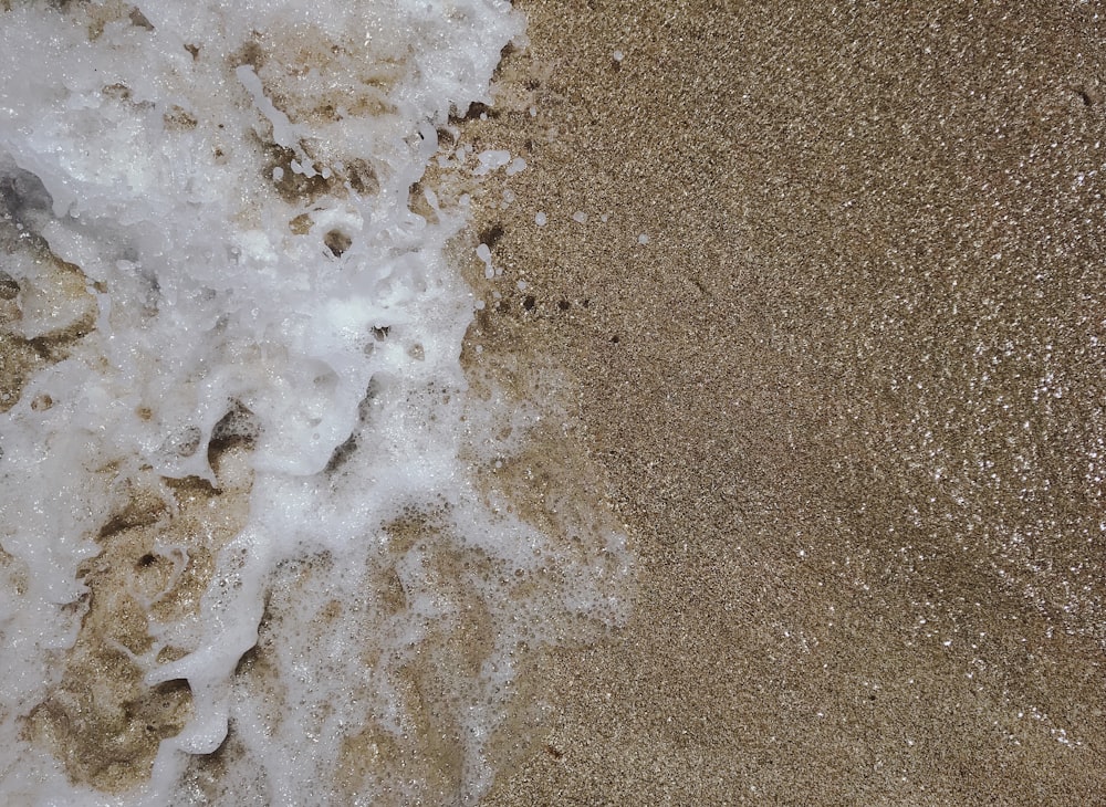 ocean wave on seashore