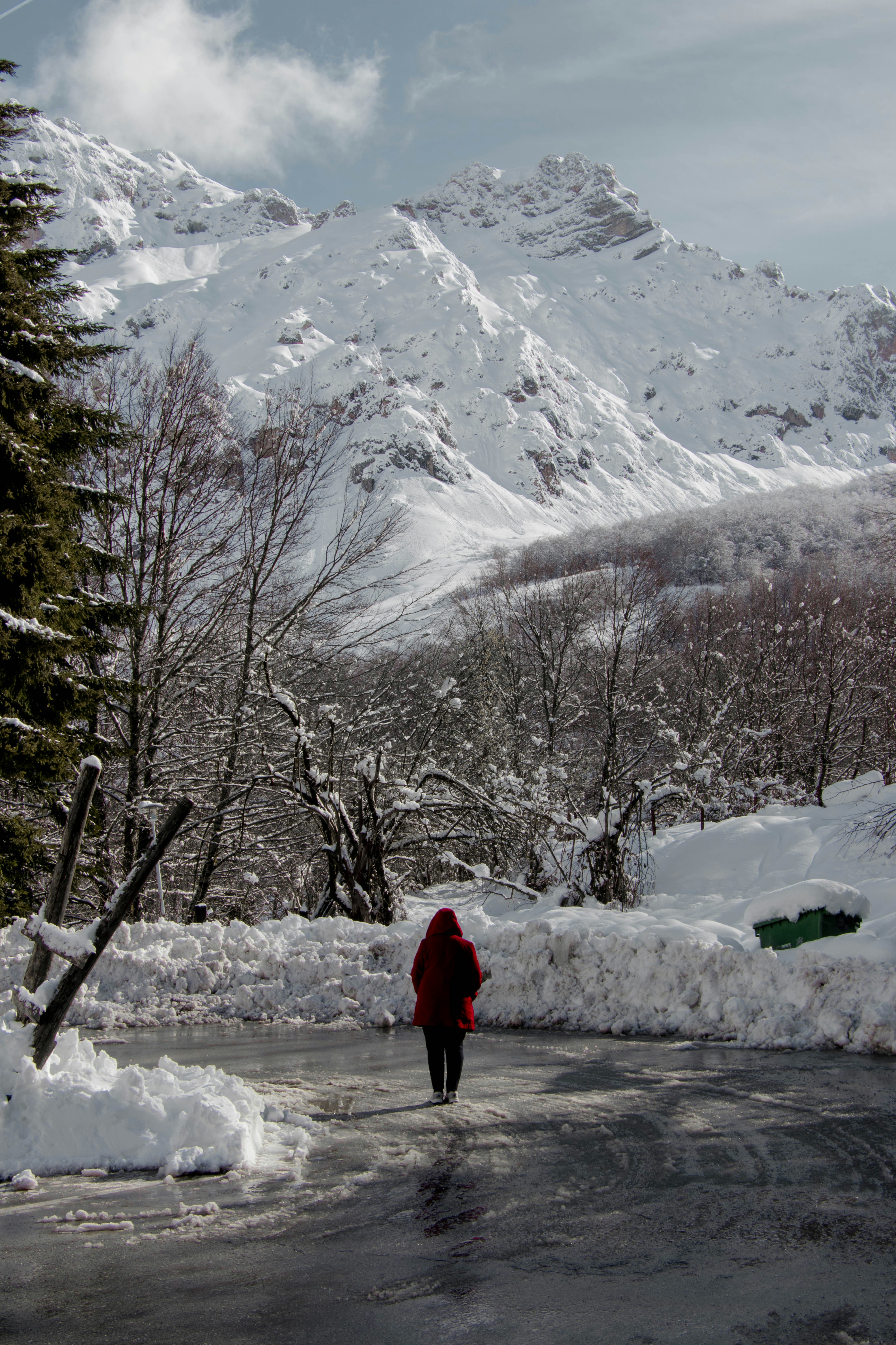 Mujer de pie en el camino cerca del bosque nevado