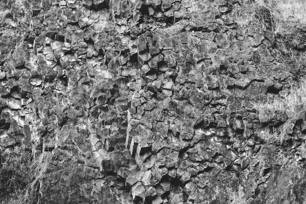 a black and white photo of a rock wall