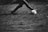 A dynamic action shot of a soccer player kicking a ball on the field.