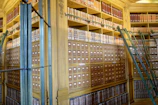 Organized archive room showcasing efficient document storage.
