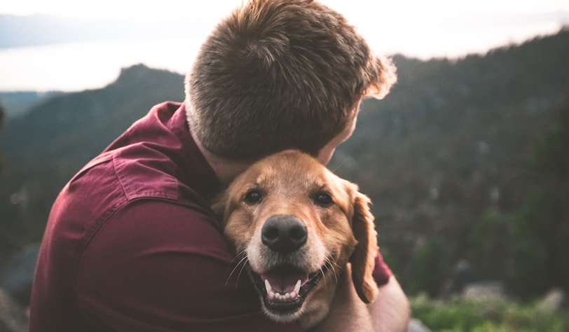 dog happiness is taking care of dog's health
