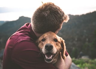 photo of man hugging tan dog