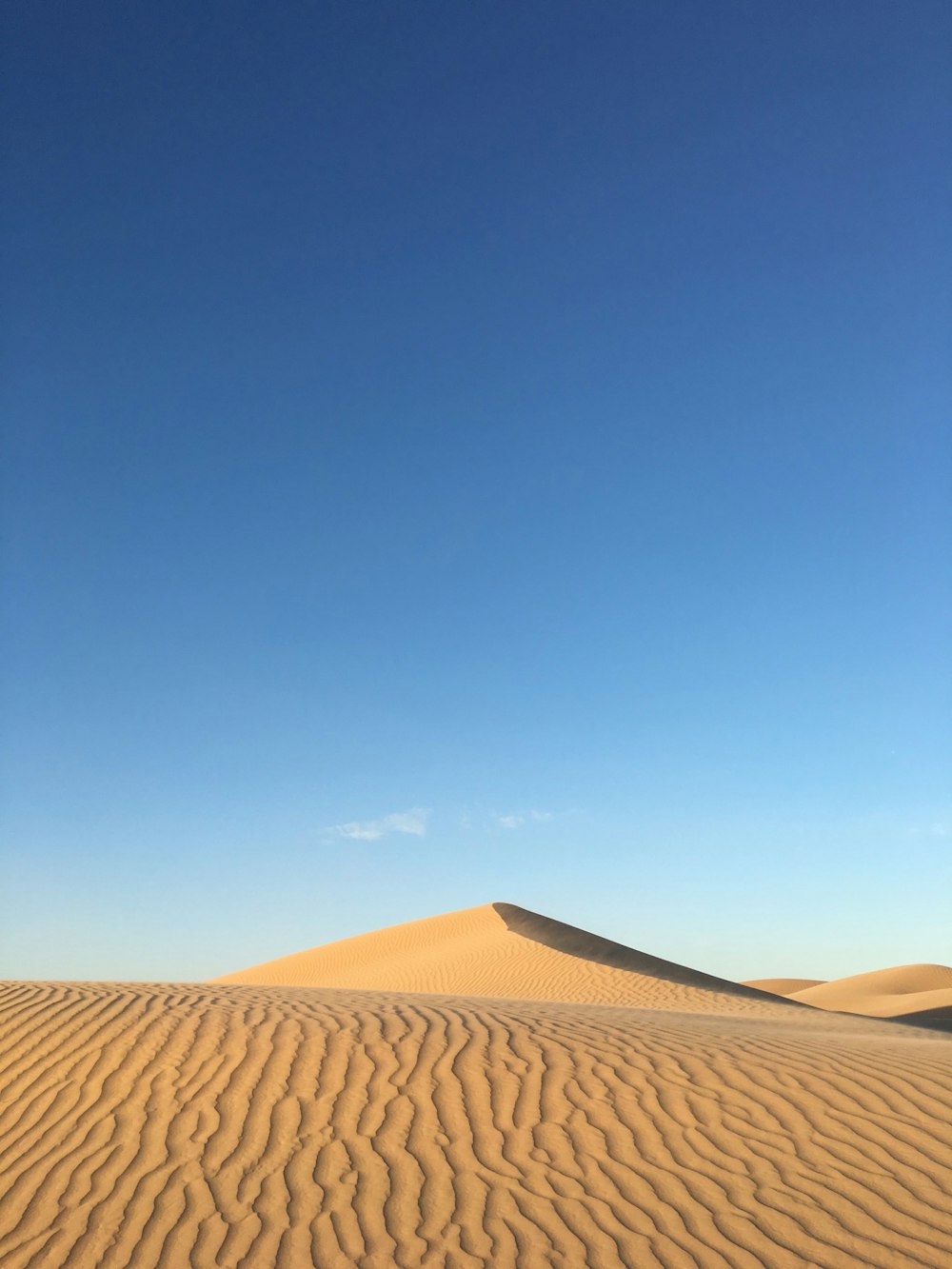 Foto del desierto