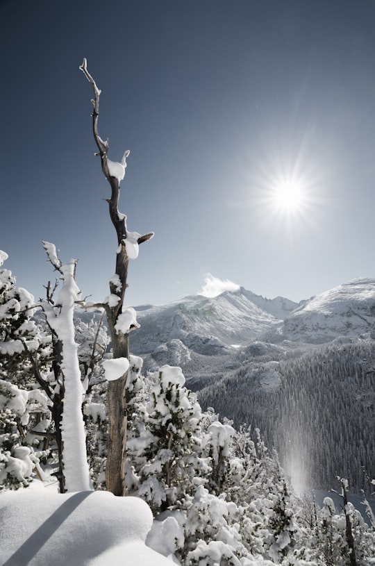 snow cover mountain during daytime in Rocky Mountain National Park United States
