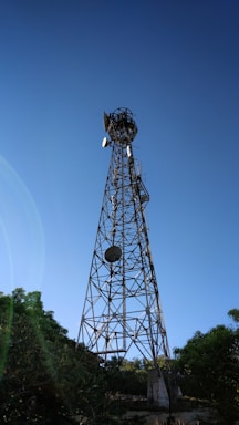 A tall metal communications tower stands against a clear blue sky, with a few satellite dishes attached to its structure. The tower is surrounded by lush green trees at its base, casting shadows on the ground.