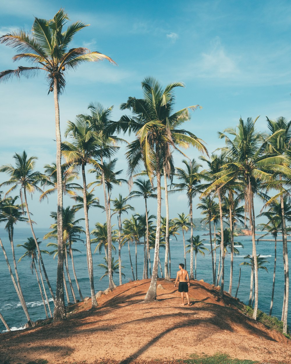 man wearing black shorts beside palm tree