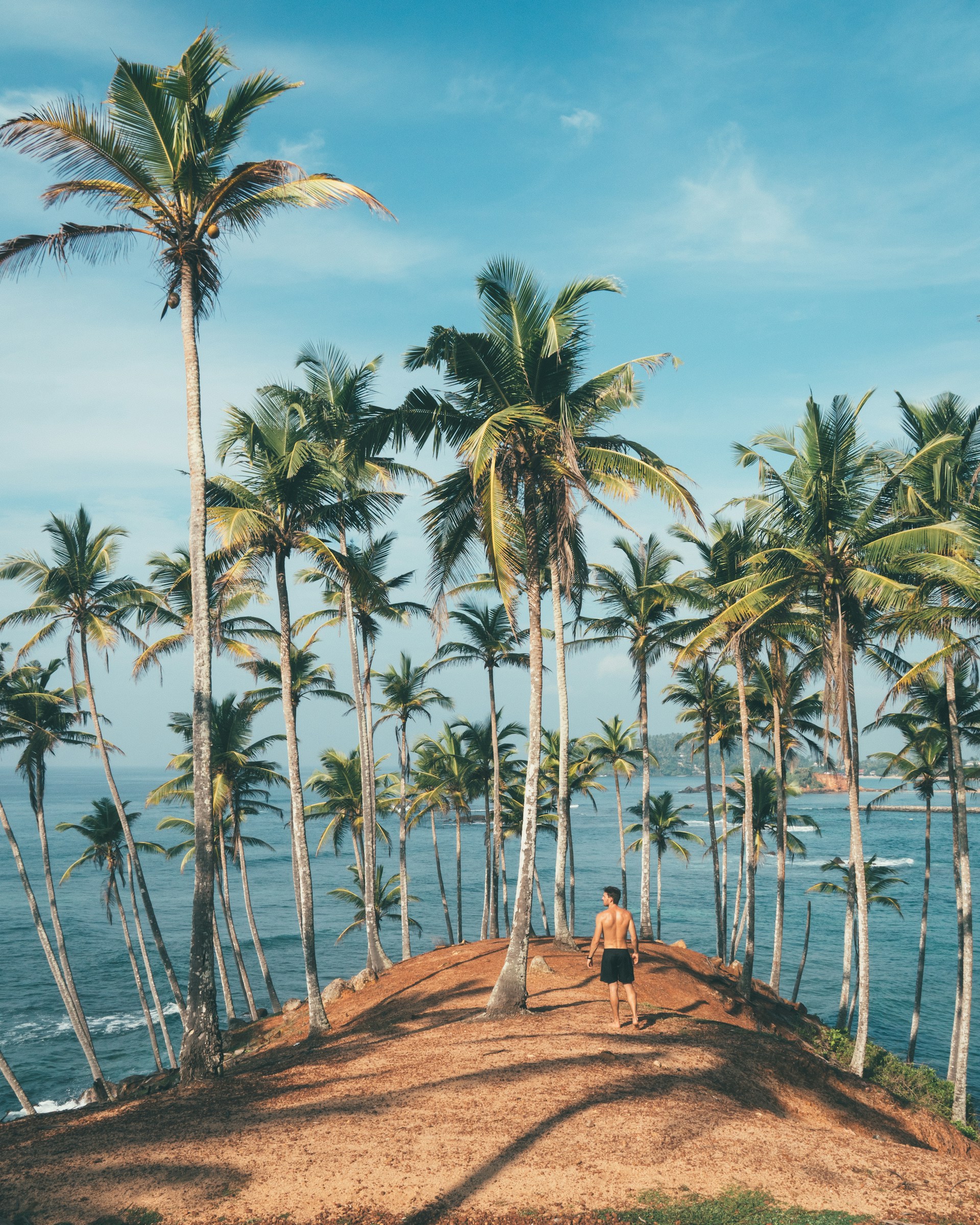 man wearing black shorts beside palm tree