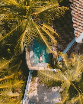 top view of man in swimming pool