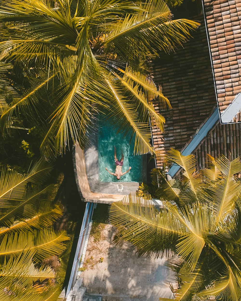 top view of man in swimming pool