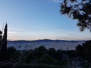A panoramic view of Xanxerê cityscape with green hills and colorful buildings under a clear blue sky.