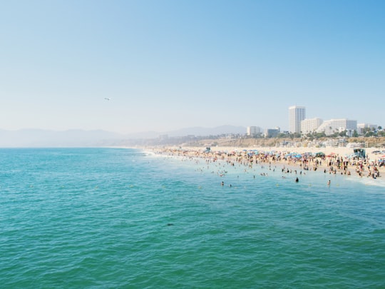 group of people on the beach in Santa Monica State Beach United States