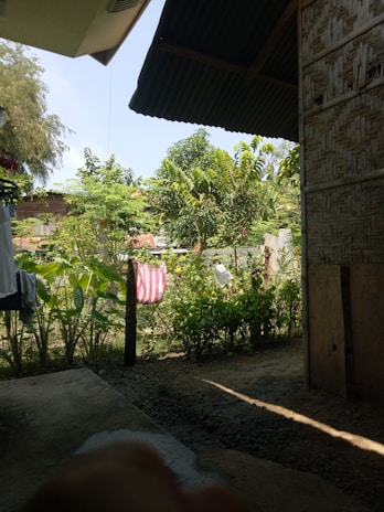 A shaded area under a tin roof opens up to a lush garden. Various trees and shrubs fill the landscape with greenery, while a pink and white striped cloth hangs on a line. Part of a wooden or bamboo structure is visible on the side.