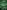 green rubber plant in closeup photography