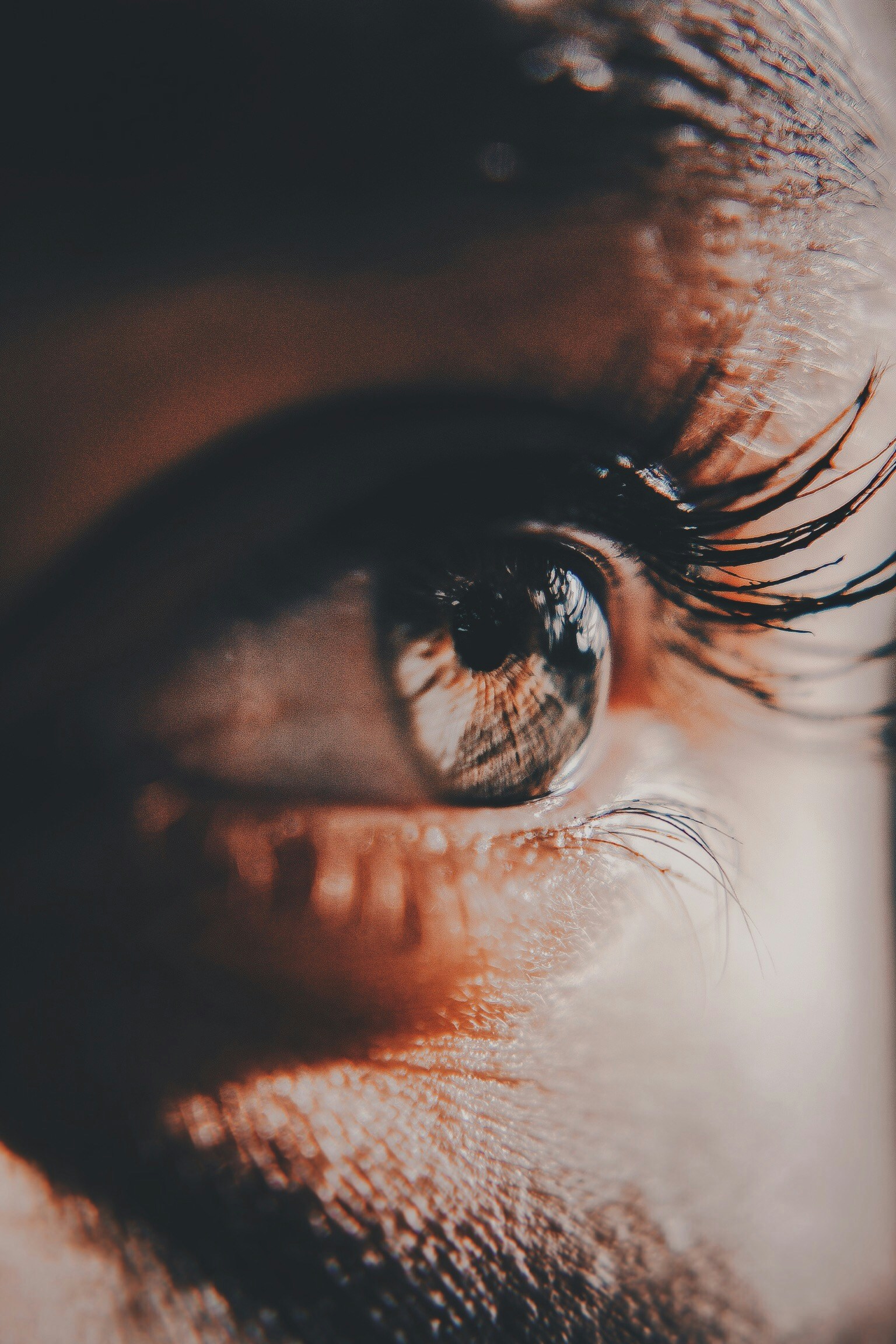 online the bloomsbury companion to heidegger 2013