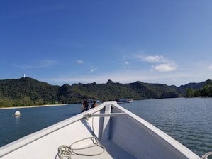 A scenic view of a boat gliding through calm waters with lush green hills in the background.