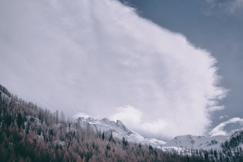 snow covered mountain