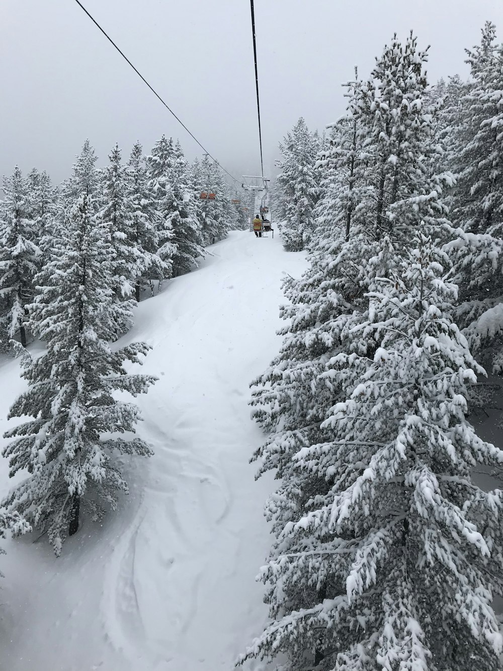 cable cart surrounded by trees