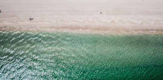 green sea in Coogee Australia