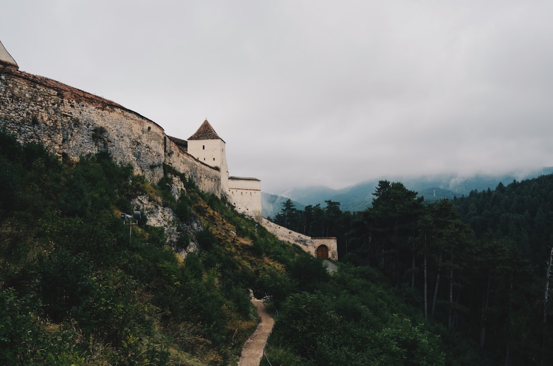 photo of Cetatea Râșnov Hill station near Piatra Craiului Mountains