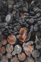 A pile of stacked logs, cut in various sizes. The logs display distinct circular patterns from the tree rings, with textures ranging from smooth to rough. The wood has shades of gray and deep brown, indicating varying degrees of exposure and aging.