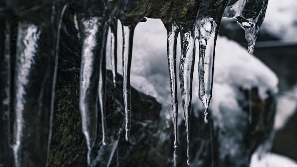 clear icicles lot