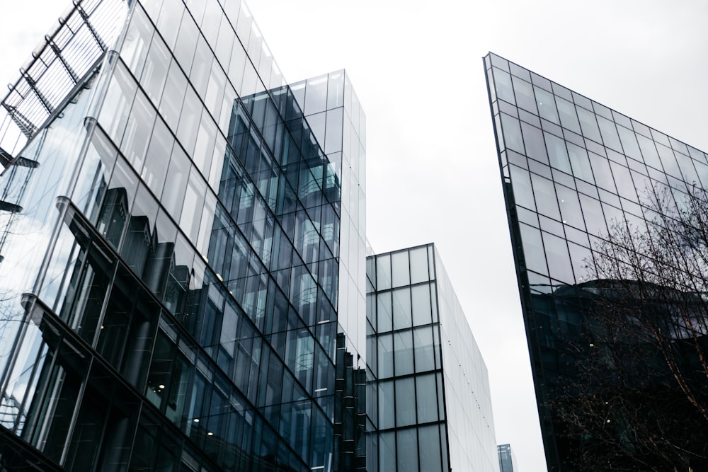 low-angle photography of curtain wall buildings