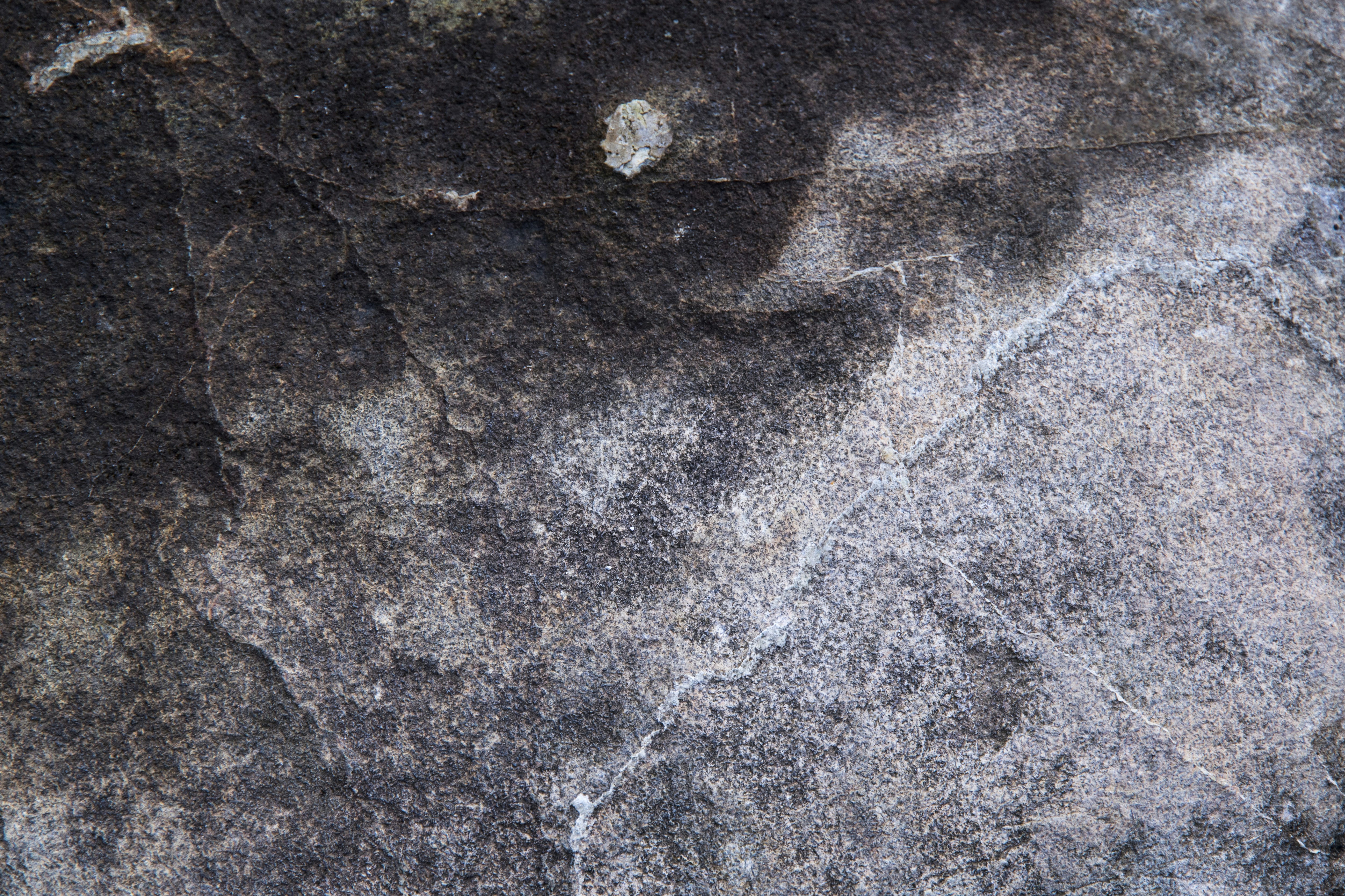 Photo by miltosbottis