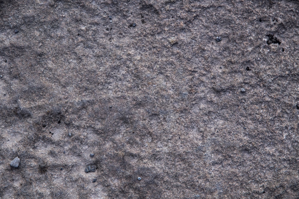 a close up of a rock with small rocks on it