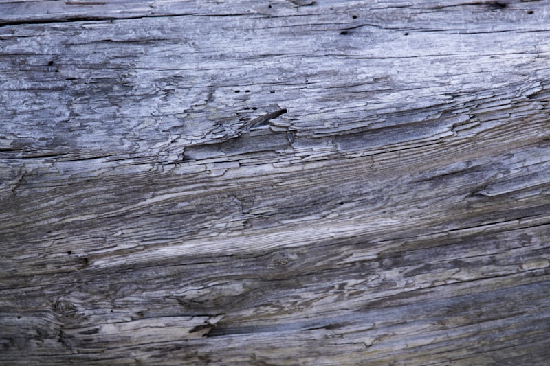Textured Cut