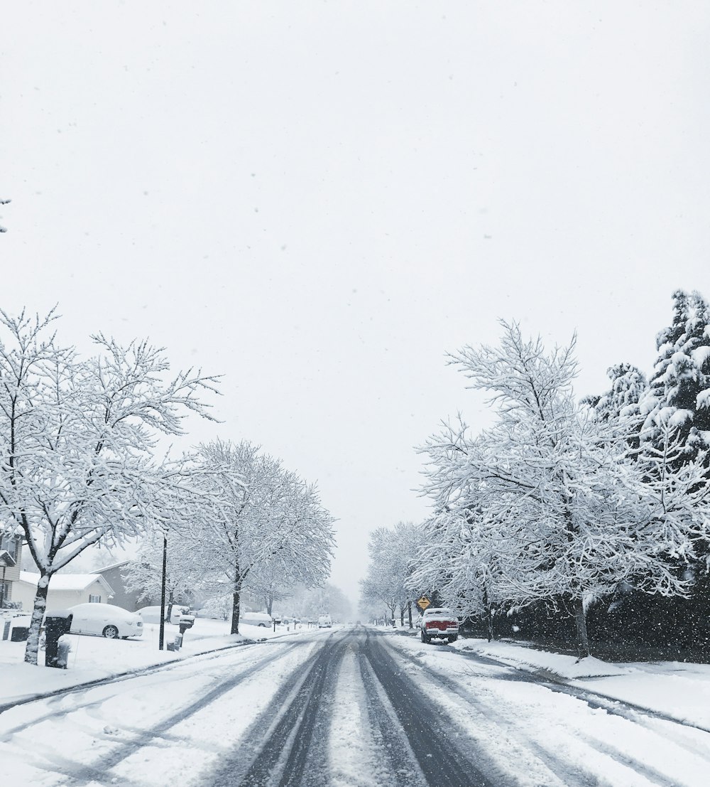 red vehicle parking near tree during winter season