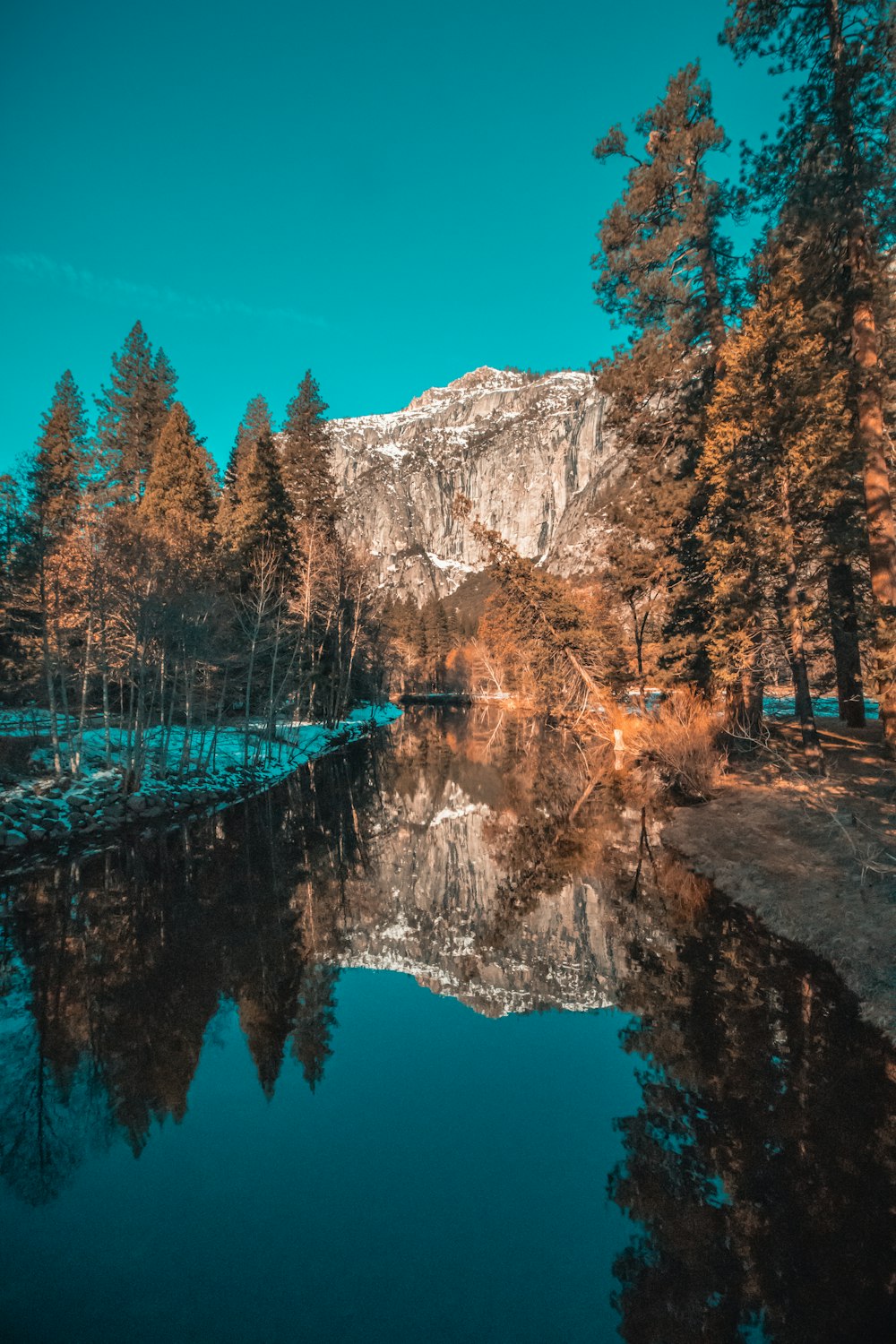 lake surrounded by tall trees under blue sky