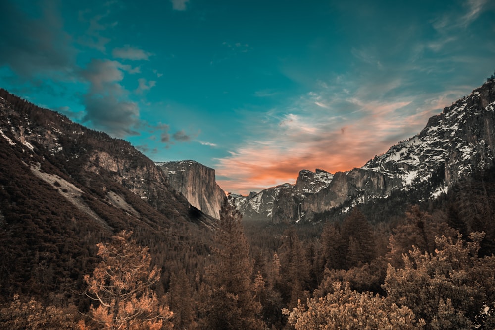 산의 풍경 사진