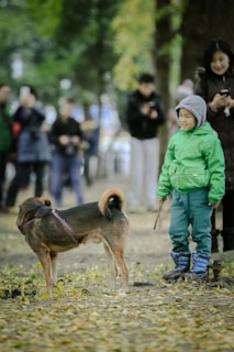 A happy dog and child sharing a joyful moment in a park