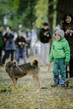 A joyful interaction between a dog and a child.