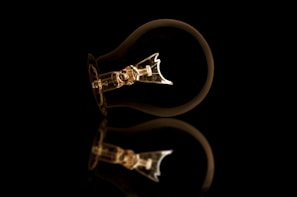 A single incandescent light bulb is lying horizontally against a dark background. The bulb is not lit, and its intricate internal filament structure is clearly visible. The polished surface of the bulb reflects softly on the black surface beneath it, creating a subtle mirror effect.