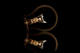A single incandescent light bulb is lying horizontally against a dark background. The bulb is not lit, and its intricate internal filament structure is clearly visible. The polished surface of the bulb reflects softly on the black surface beneath it, creating a subtle mirror effect.