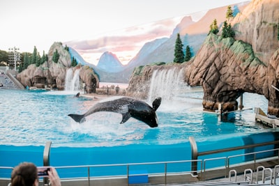 SeaWorld San Antonio