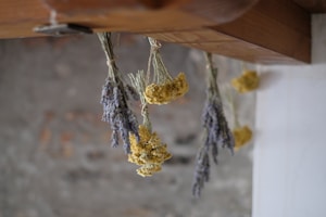 Lavanda Secada