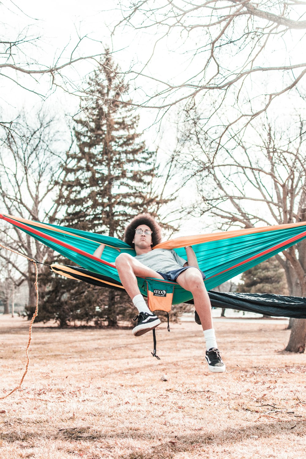 man sitting on teal hammock with withered trees on corner