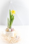 yellow flower