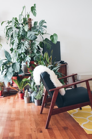 A portable air cooler on a wooden floor next to a cozy chair, with fresh green plants nearby.