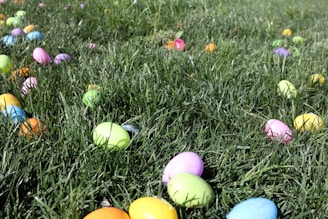 Brightly colored plastic eggs are scattered across a lush green grassy field, suggesting a playful, festive atmosphere likely associated with an Easter egg hunt.