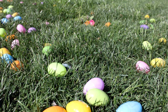 Brightly colored outdoor toys scattered on fresh green grass.
