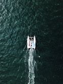 people riding on pontoon boat on body of water during daytime