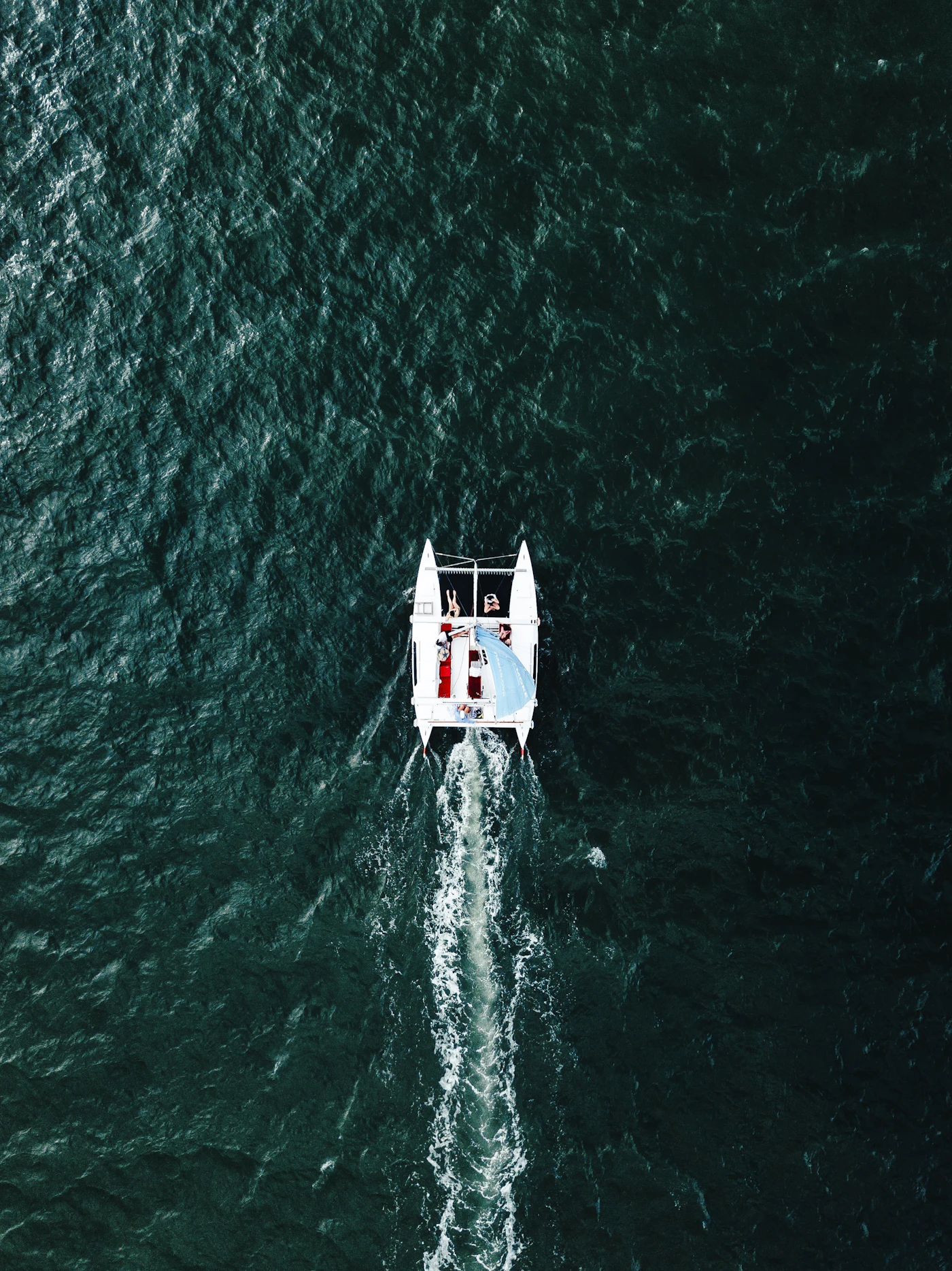 Grupo disfrutando a bordo del catamarán