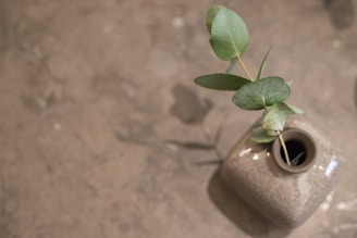 A ceramic vase with a glossy finish holds a sprig of green leaves. The background is a textured, neutral surface, which may be concrete or stone, creating a minimalist and natural aesthetic.
