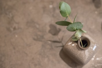 A ceramic vase with a glossy finish holds a sprig of green leaves. The background is a textured, neutral surface, which may be concrete or stone, creating a minimalist and natural aesthetic.